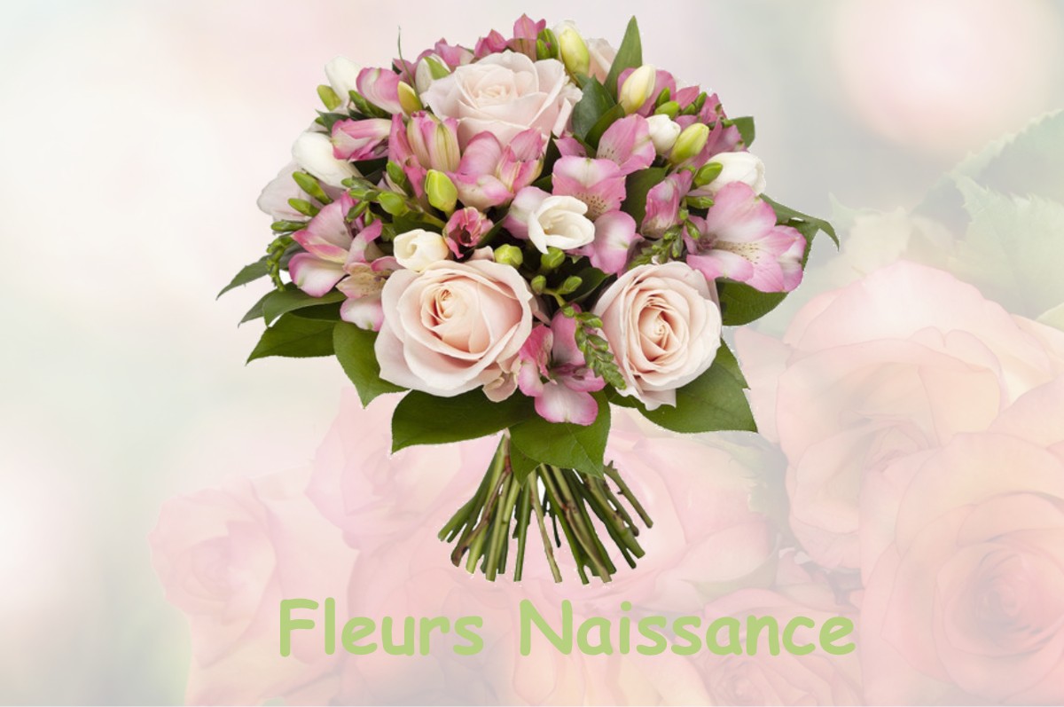 fleurs naissance TOURY-SUR-JOUR